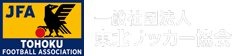 一般社団法人東北サッカー協会